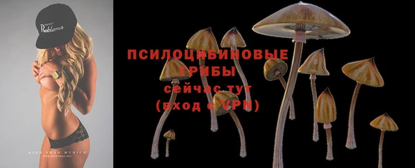 скорость Алзамай