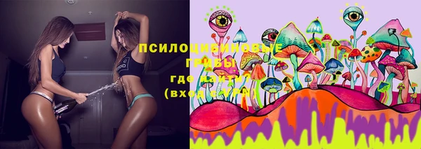 сатива Алексеевка